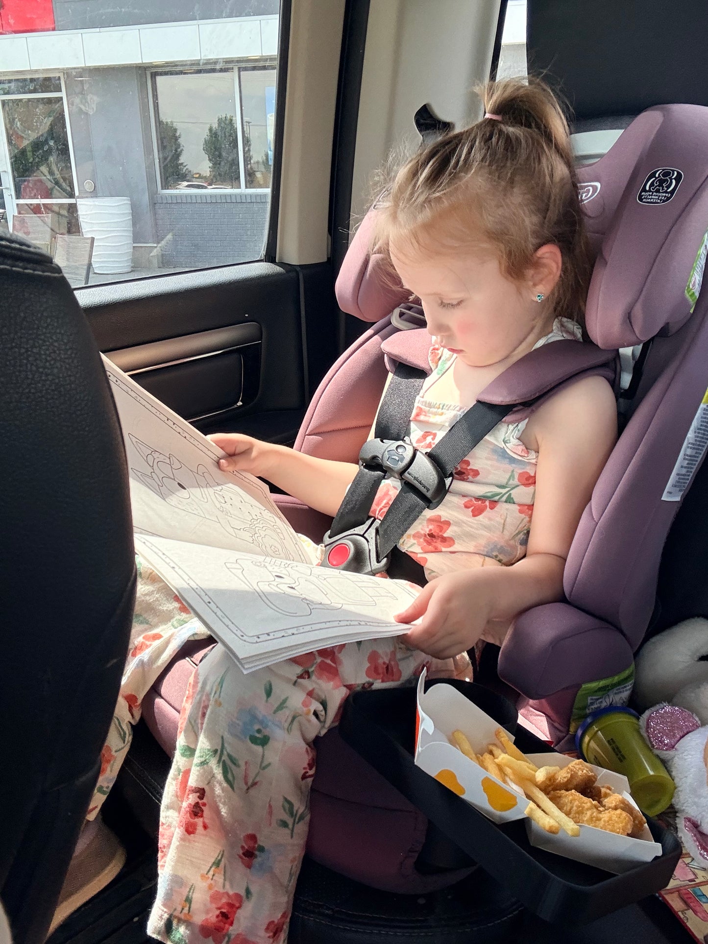 Car Seat Trays