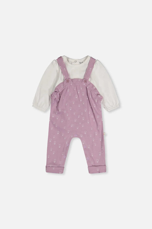 Organic Cotton Onesie and Overall Set