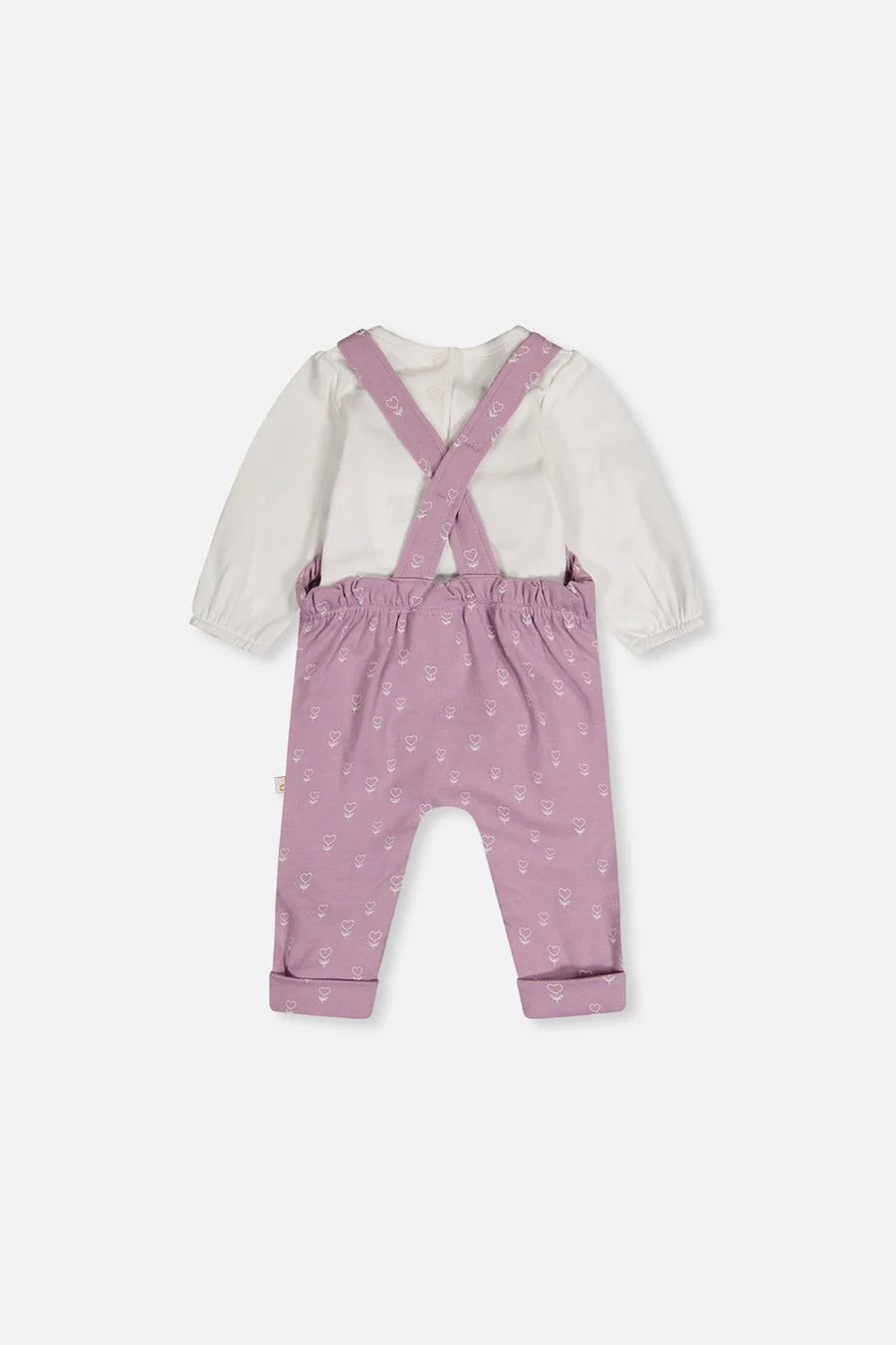 Organic Cotton Onesie and Overall Set